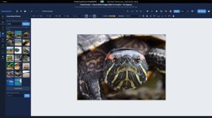 Free Canvas screenshot